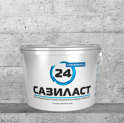 �������� 24 ��������